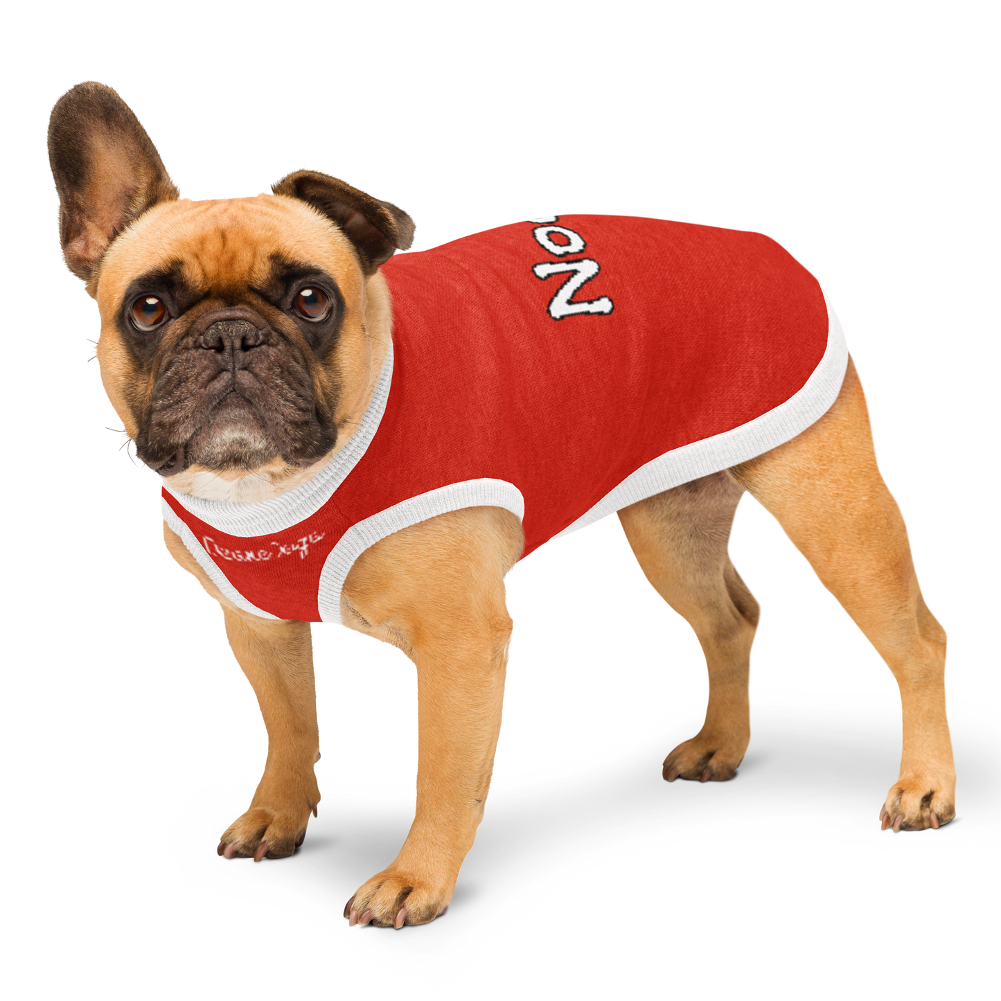 Desnedogs Santa Knitted pet sweater