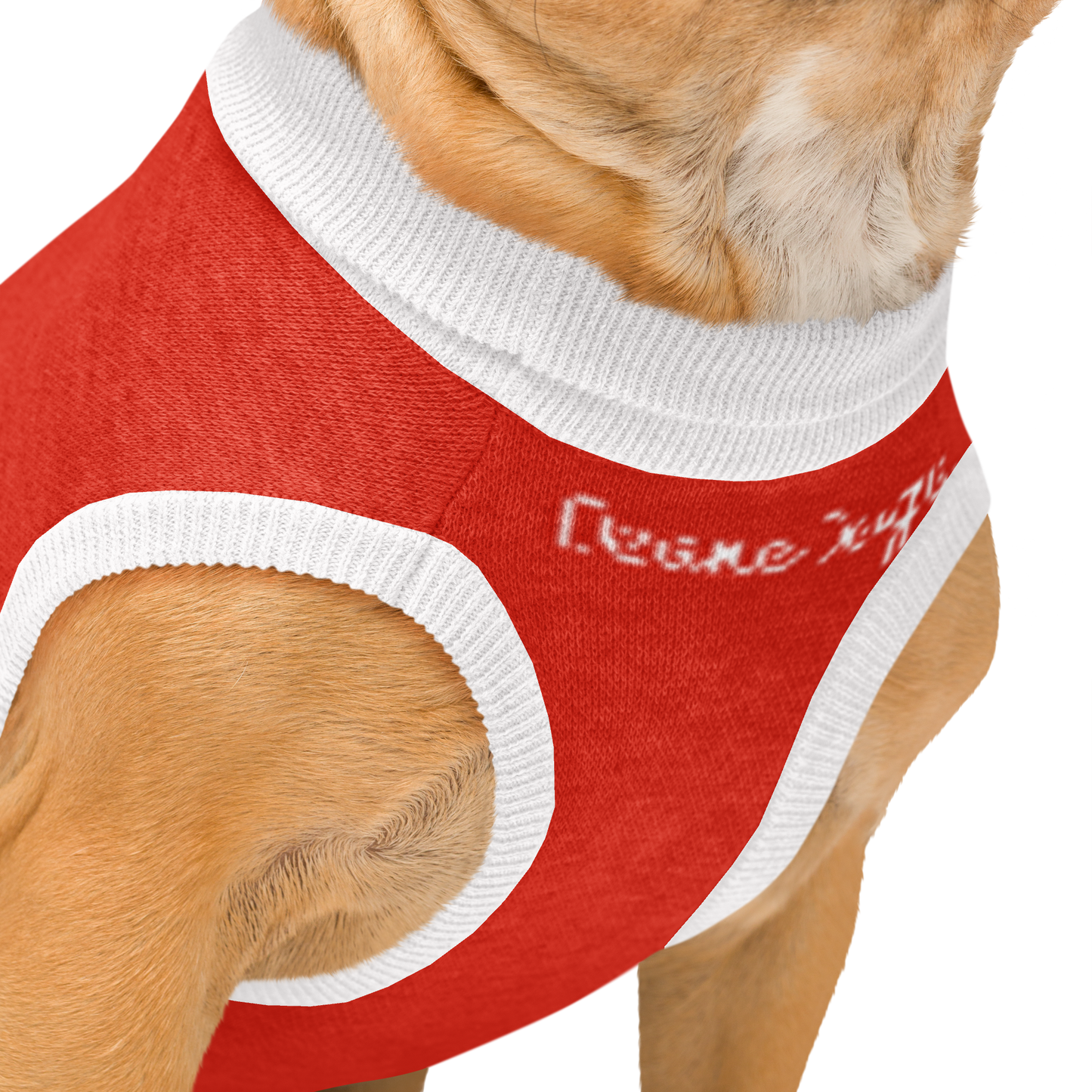 Desnedogs Santa Knitted pet sweater