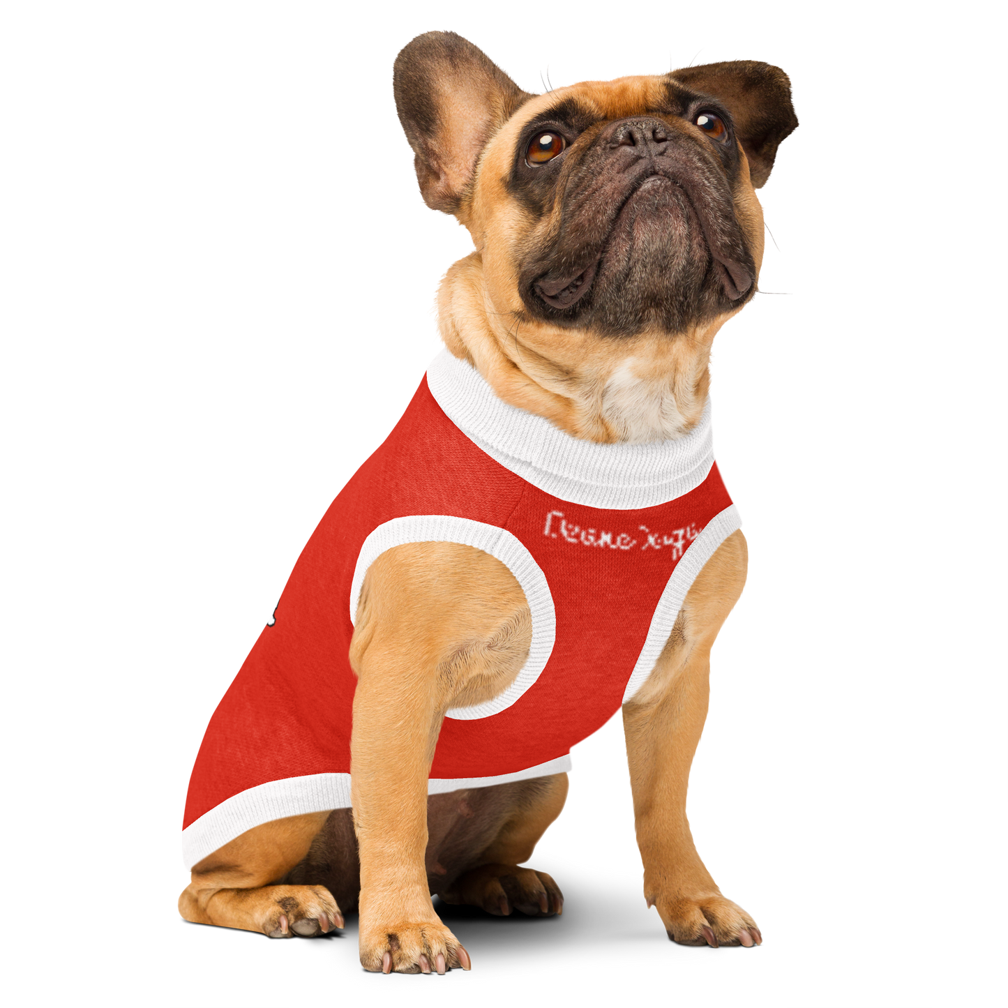 Desnedogs Santa Knitted pet sweater