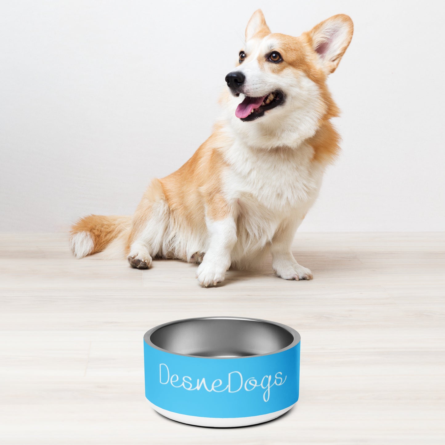 Desnedogs Pet bowl
